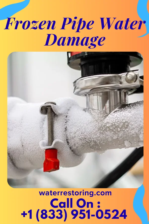 Frozen Pipe Water Damage in Beaver Creek, TX