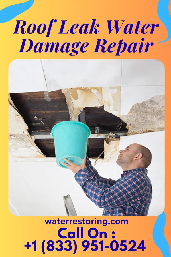 Roof Leak Water Damage Repair in Beaver Creek, TX