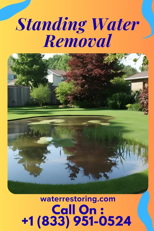 Standing Water Removal in Beaver Creek, TX